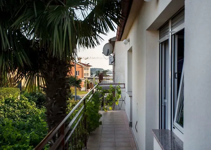 With Terrace And Parking *