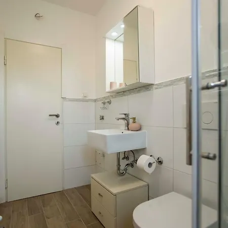 With Terrace And Parking 公寓 罗维尼